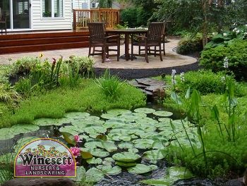 3 Benefits to Adding Water Features to Landscaping in Virginia Beach Thumbnail