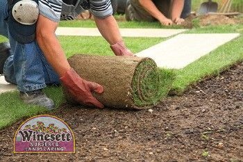 How to Care for New Sod in Virginia Beach