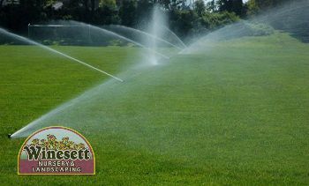 How to Calibrate Your Irrigation System