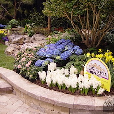 Our Award Winning Landscape Designs 4