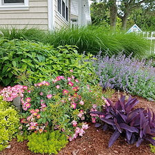 Cottage Landscape Designs 8