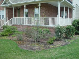 Landscaping costs before installation virginia beach 300x