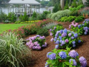 Larger landscaping costs after installation virginia beach 300x