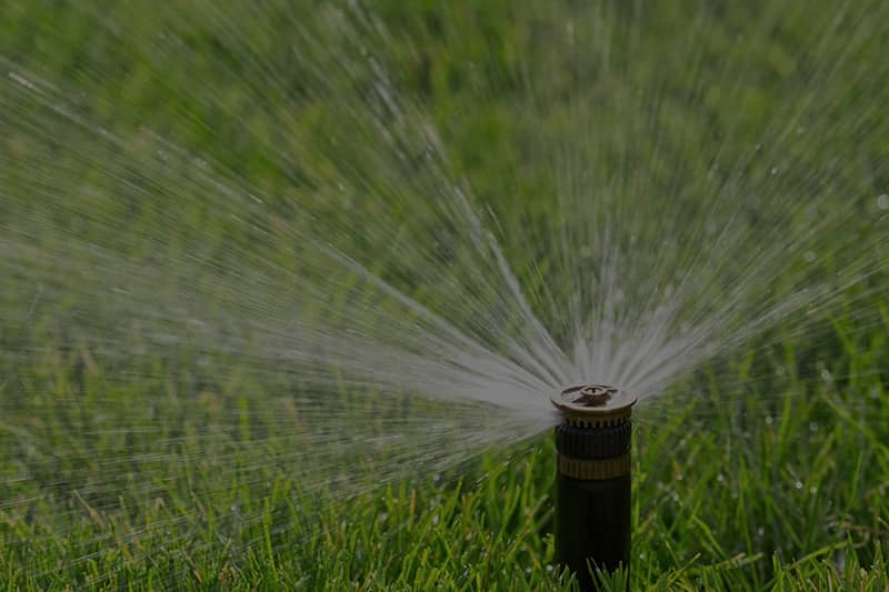 Irrigation Image